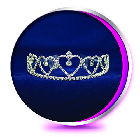 The Princess Hearts